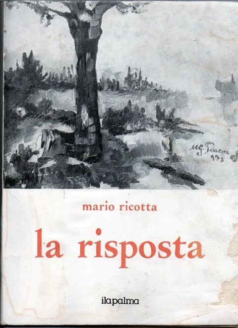 Copertina "la risposta"